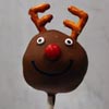 Raindeer Cake Pops